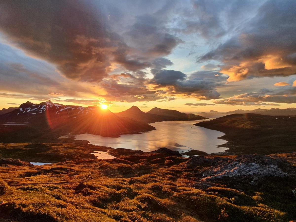 Botnhamn Cabin Magic On Senja, Atmosphere Like A Fairytale מראה חיצוני תמונה