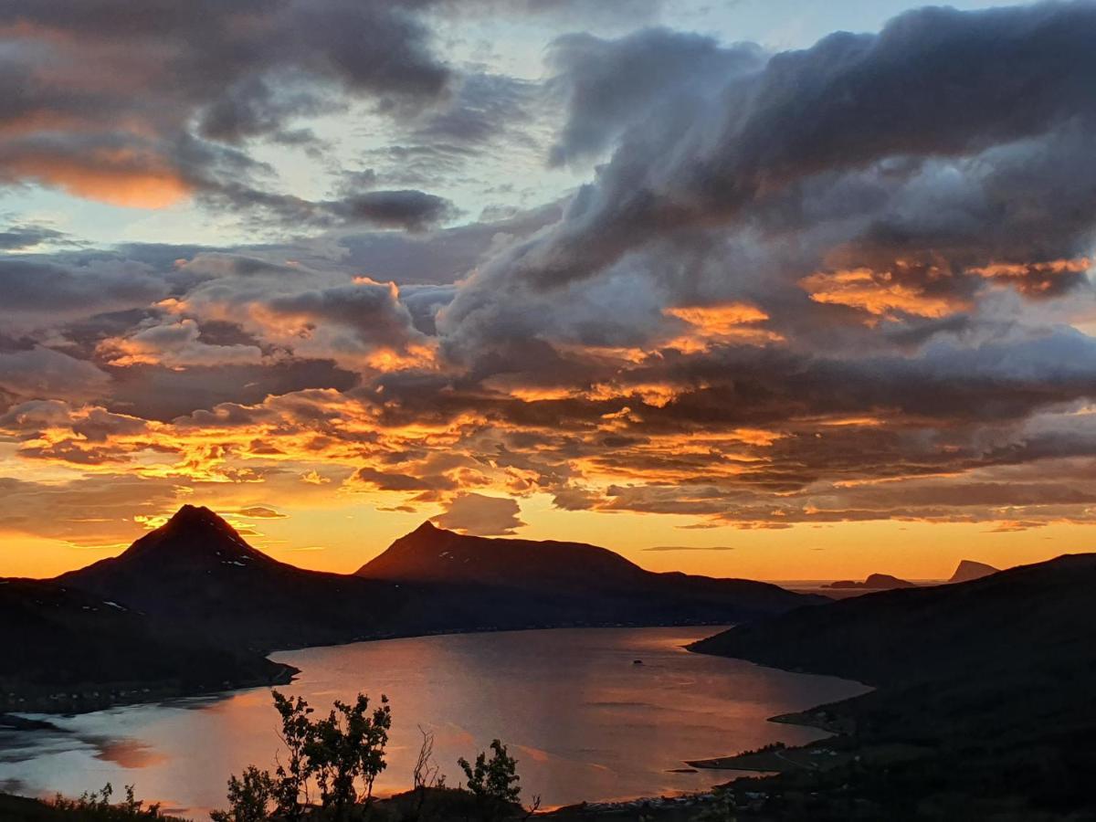 Botnhamn Cabin Magic On Senja, Atmosphere Like A Fairytale מראה חיצוני תמונה