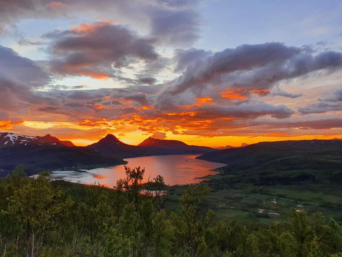Botnhamn Cabin Magic On Senja, Atmosphere Like A Fairytale מראה חיצוני תמונה