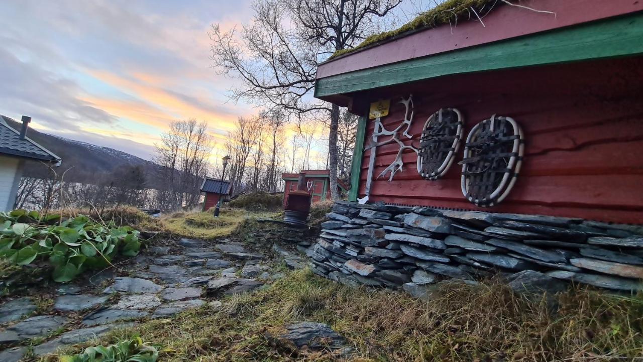 Botnhamn Cabin Magic On Senja, Atmosphere Like A Fairytale מראה חיצוני תמונה