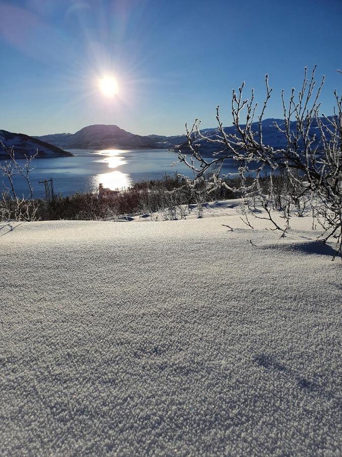 Botnhamn Cabin Magic On Senja, Atmosphere Like A Fairytale מראה חיצוני תמונה