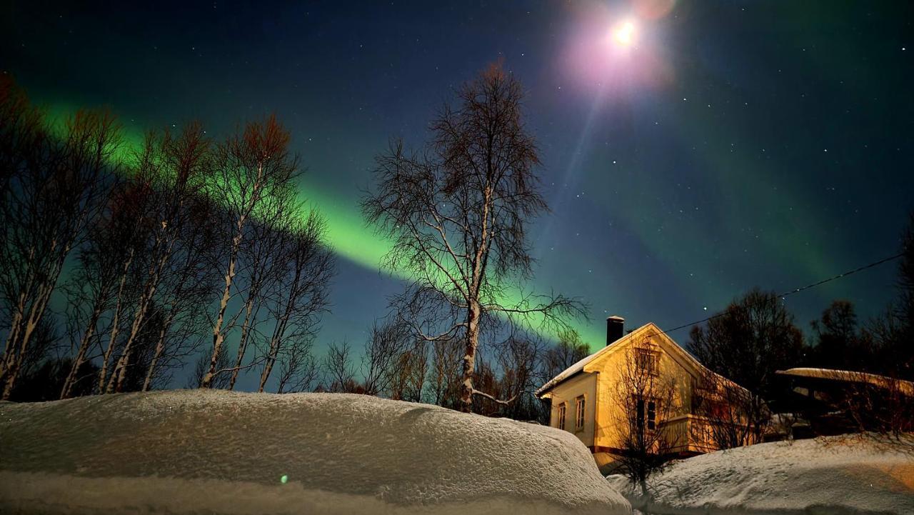 Botnhamn Cabin Magic On Senja, Atmosphere Like A Fairytale מראה חיצוני תמונה
