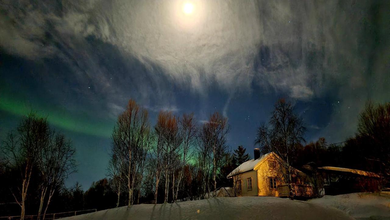 Botnhamn Cabin Magic On Senja, Atmosphere Like A Fairytale מראה חיצוני תמונה