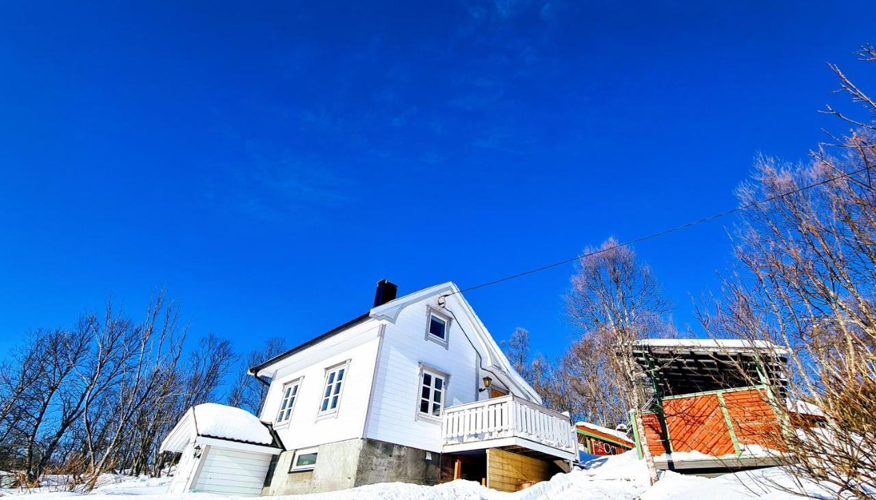 Botnhamn Cabin Magic On Senja, Atmosphere Like A Fairytale מראה חיצוני תמונה