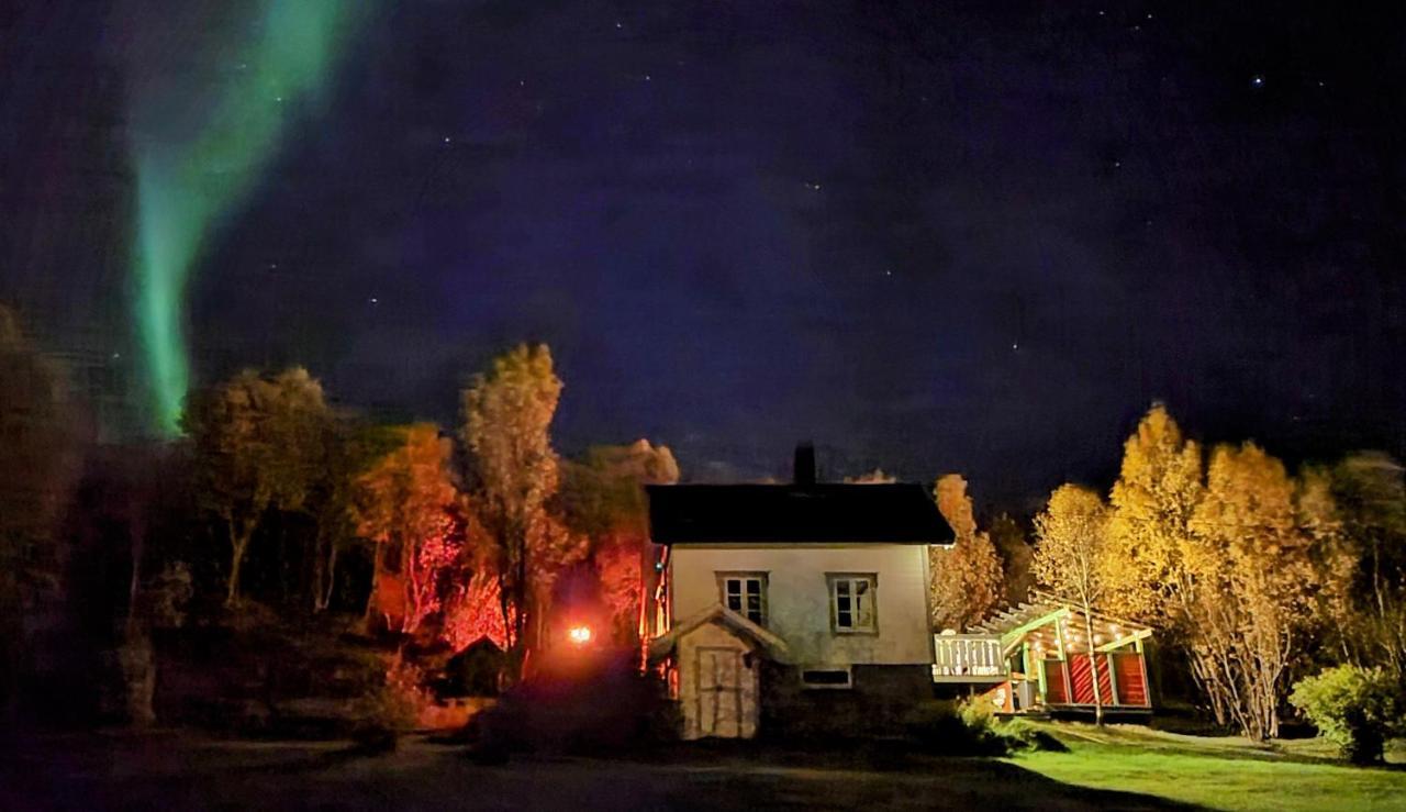 Botnhamn Cabin Magic On Senja, Atmosphere Like A Fairytale מראה חיצוני תמונה