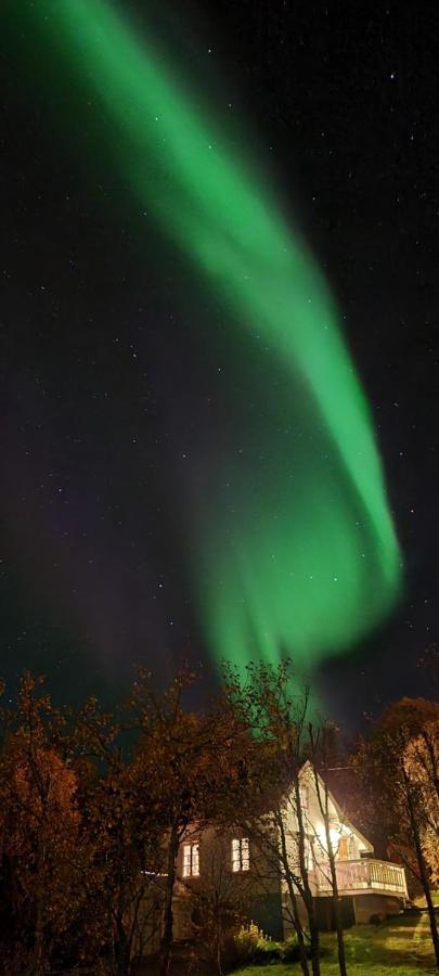 Botnhamn Cabin Magic On Senja, Atmosphere Like A Fairytale מראה חיצוני תמונה